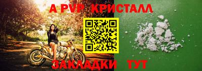 сатива Кингисепп