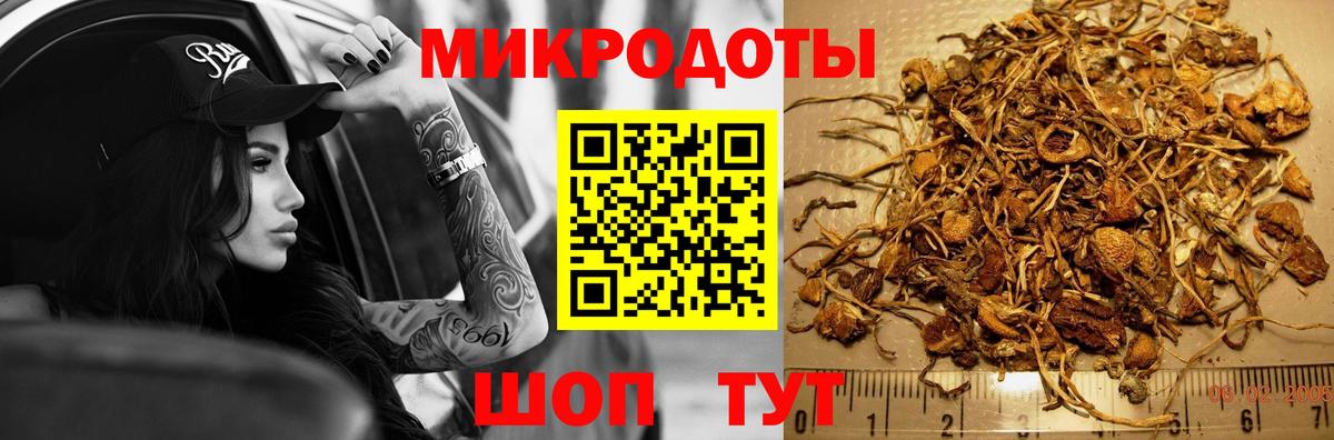 Галлюциногенные грибы прущие грибы  Псилоцибиновые грибы ЛСД  Камышлов  Вход с VPN 